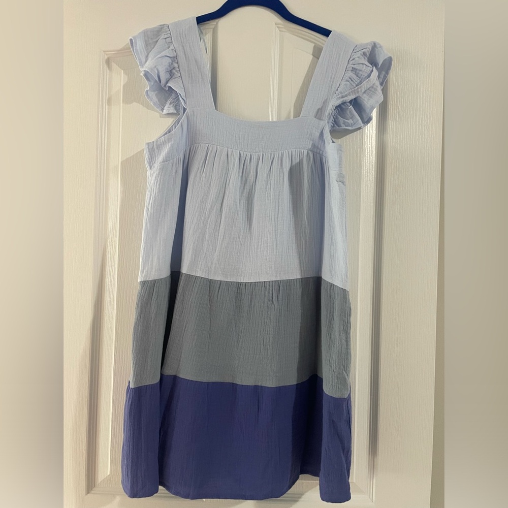 TCEC blue dress with flutter sleeve